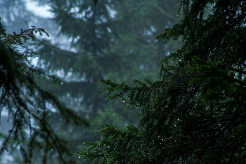 Естественные изменения наклона Земли влияют на количество осадков и влажность