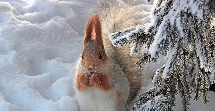 Какой сегодня праздник: 24 февраля отмечается несколько праздников, какой церковный праздник в России сегодня, 24.02.2025