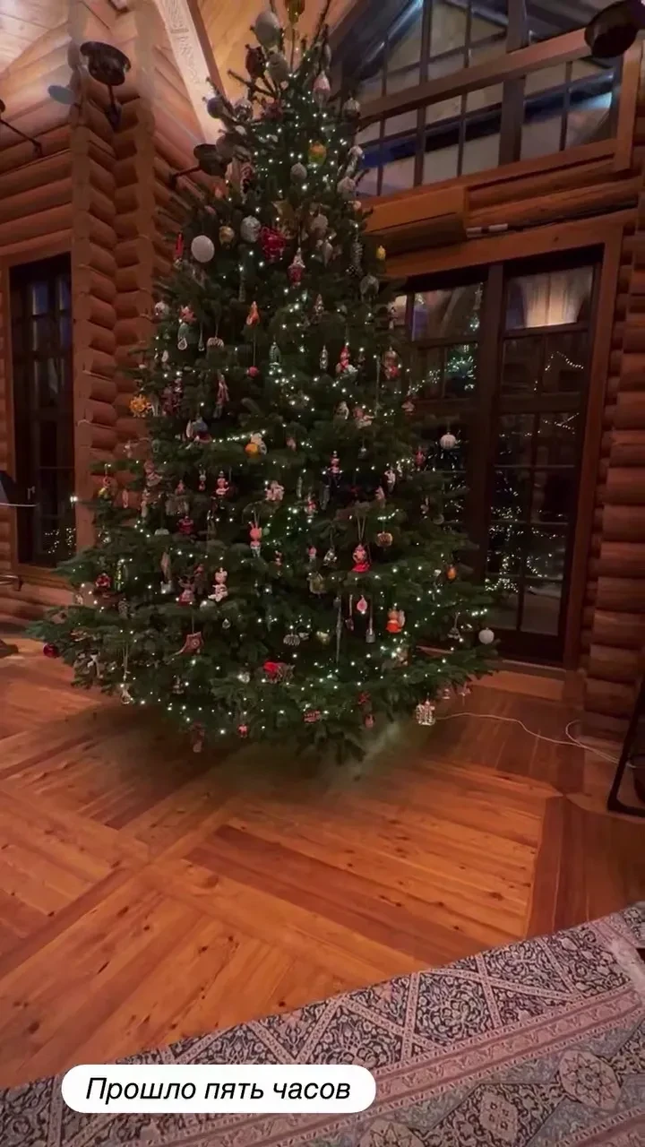 Юлия Высоцкая, Ксения Бородина, Анастасия Решетова, Милош Бикович, Ида Галич: как звёзды украсили дома к Новому году