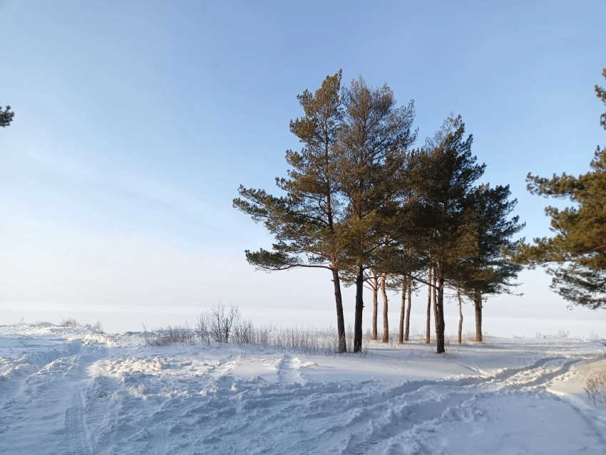 Когда растает снег в России в 2026 году?