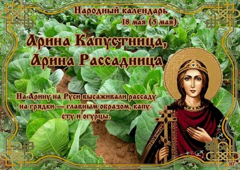 Народные праздники святой Ирины и Арины Капустницы 18 мая 2024 года: что можно и что нельзя делать